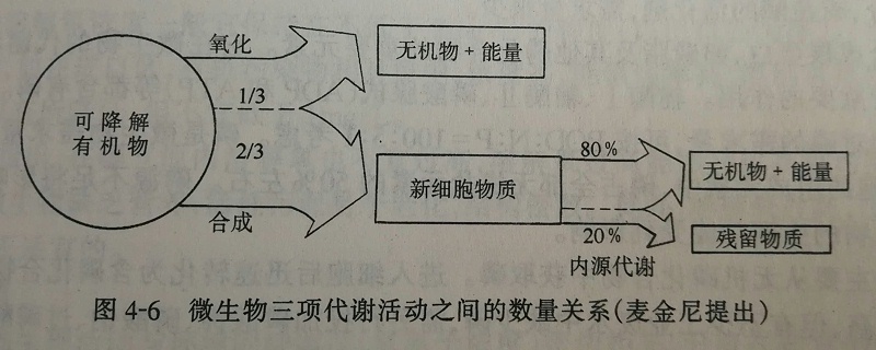 微生物代謝活動數量圖