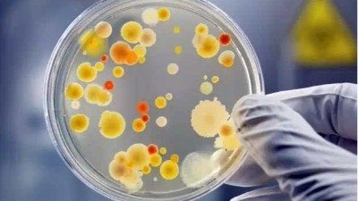 MBR膜生物反應器組件特點
